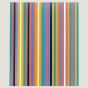 Bridget Riley: Looking and Seeing, Doing and Making